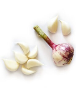 kajal fresh garlic
