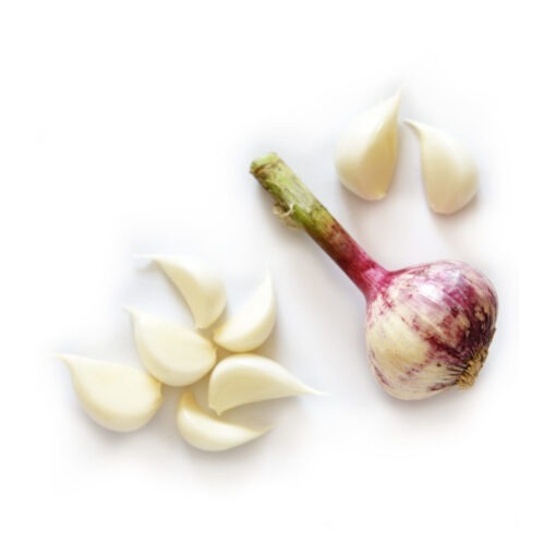 kajal fresh garlic
